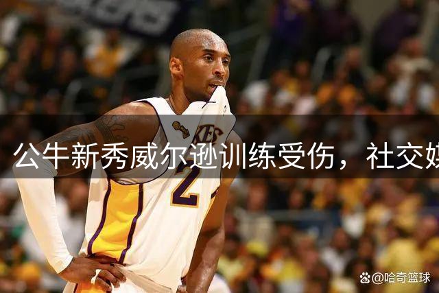 公牛新秀威尔逊训练受伤，社交媒体发文诉苦
